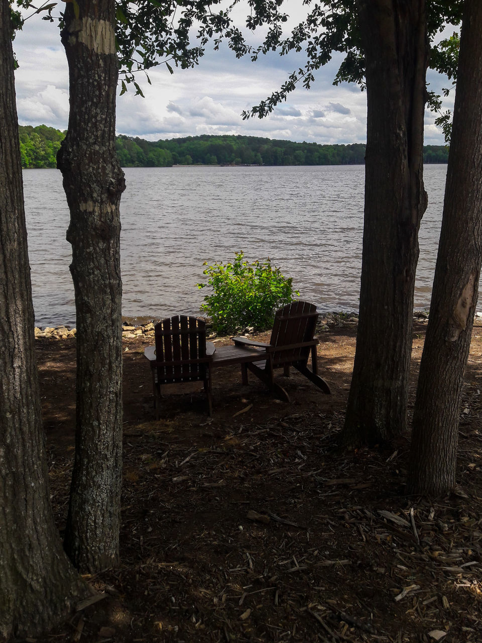 EMPTY BENCH BY LAKE AGAINST TREES