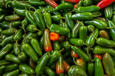 Full frame of jalapeno pepper for sale at market