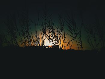 Silhouette trees on field against sky at night