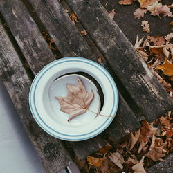 High angle view of dry leaves on table