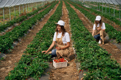 Rear view of woman working in basket