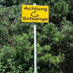 Information sign on tree trunk