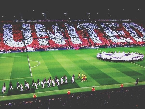 large group of people, grass, sport, green color, field, leisure activity, men, stadium, crowd, lifestyles, person, playing field, landscape, outdoors, soccer, high angle view, night, arts culture and entertainment, grassy