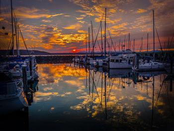 Sailboats moored at harbor during sunset
