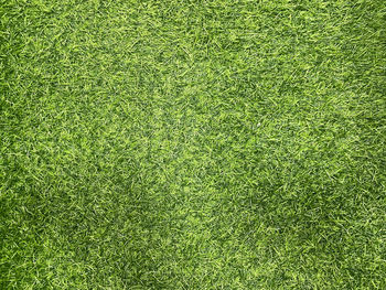 Full frame shot of soccer field