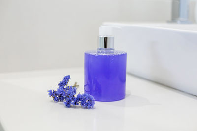 Close-up of purple flower in glass on table