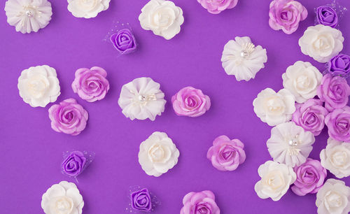 Directly above shot of roses