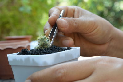 Close-up of person holding ice cream