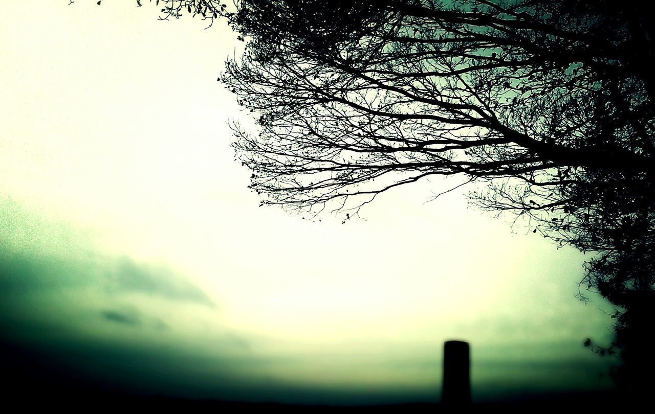 bare tree, silhouette, tree, branch, tranquility, nature, weather, clear sky, sky, dusk, beauty in nature, low angle view, tranquil scene, scenics, focus on foreground, outdoors, no people, foggy, season