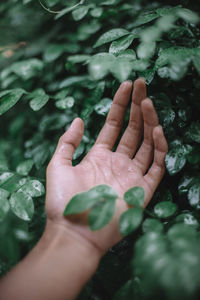 Close-up of woman touching plants during rainy season