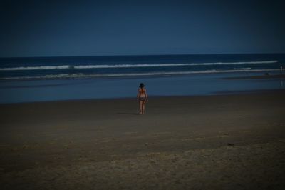 Rear view of young woman walking on sea shore