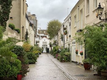 Footpath amidst mews houses against sky