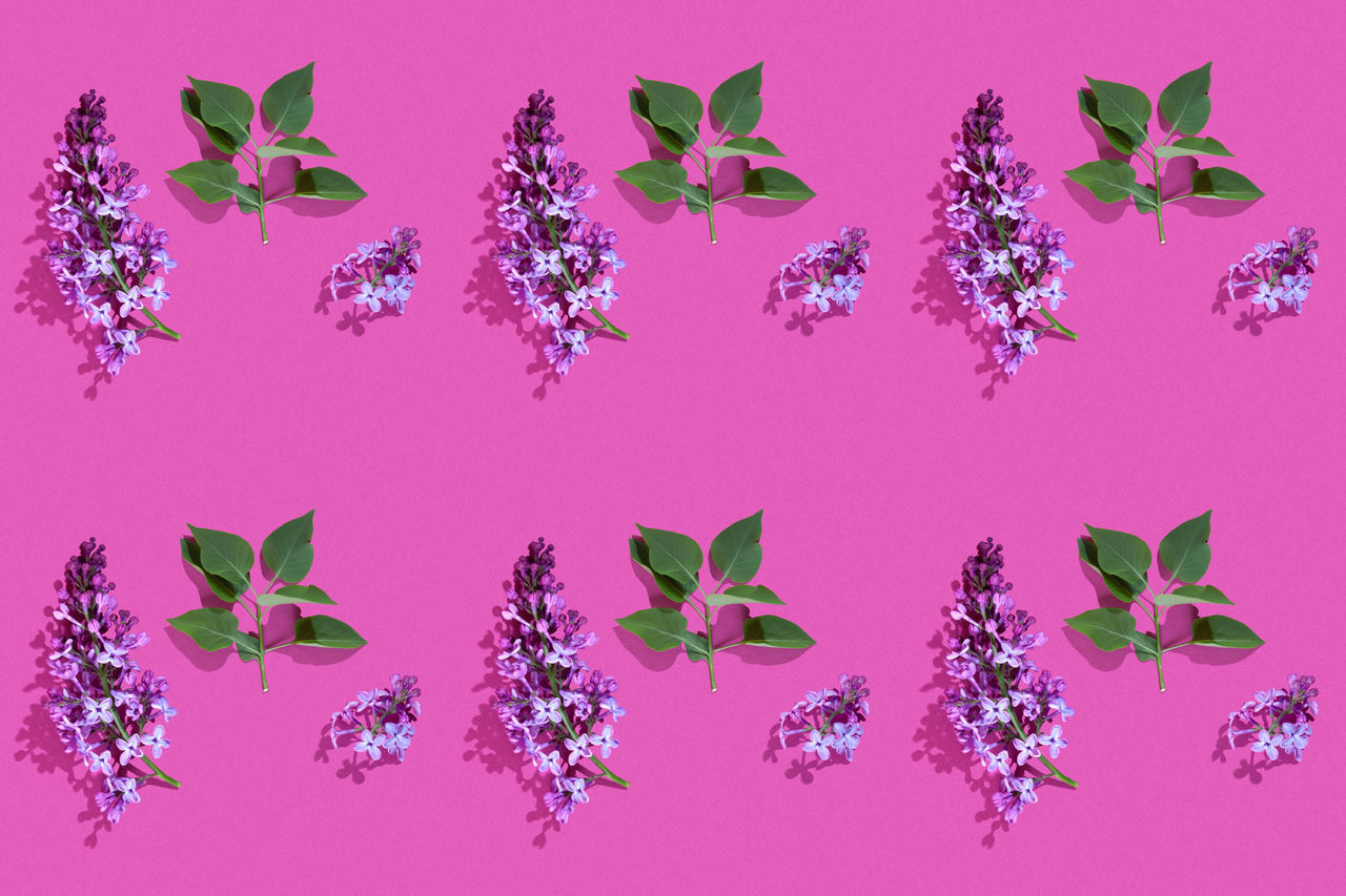 DIGITAL COMPOSITE IMAGE OF PINK FLOWERS AGAINST WALL