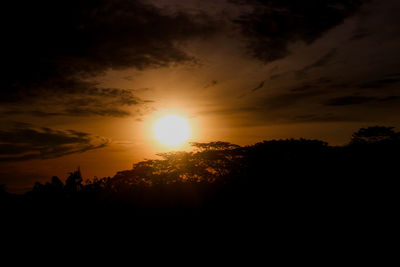 Silhouette trees against sky during sunset