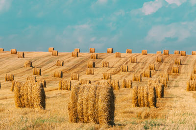 Hay bales on field against sky