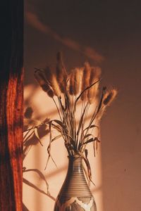 Close-up of dry plant in vase against wall