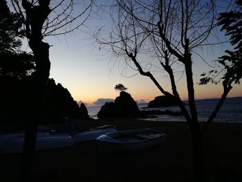 Silhouette trees by sea against sky during sunset