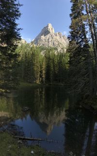 Scenic view of lake by trees against sky