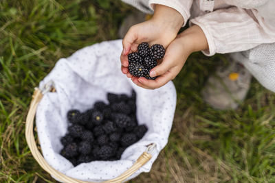 Girl with harvested blackberries in orchard