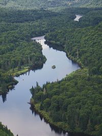 Scenic view of lake amidst trees