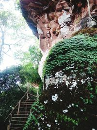 Low angle view of statue against trees