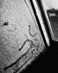 Close-up of wet car window