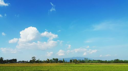 Scenic view of field against blue sky