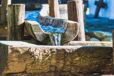 Close-up of wooden posts on tree trunk