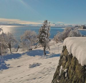 Scenic view of landscape against sky during winter