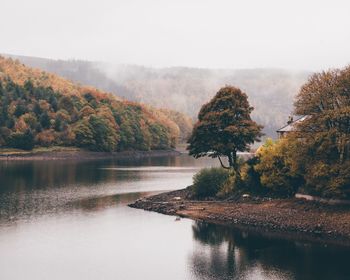 Scenic view of lake by trees against sky