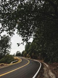 Road amidst trees against sky