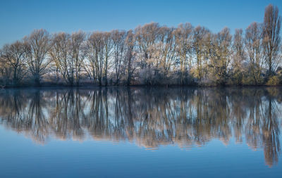 Reflection of bare trees in lake against sky