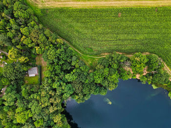 High angle view of trees on field