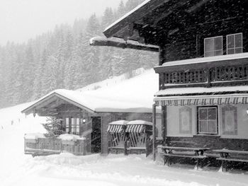 Snow covered landscape