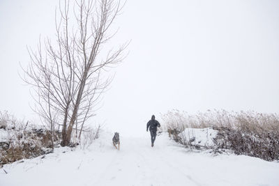 Rear view of person walking on snow covered land