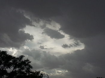 Low angle view of tree against cloudy sky