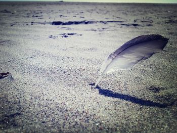 View of beach