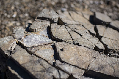 High angle view of cracked wood on field