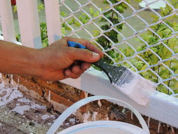 High angle view of person touching plant