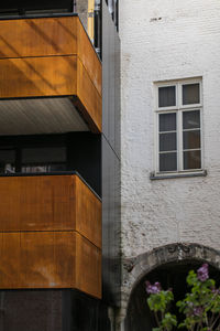 Potted plant on wall of building