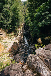 Stream flowing through rocks in forest