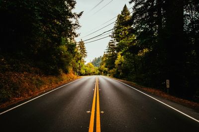 Empty road along trees