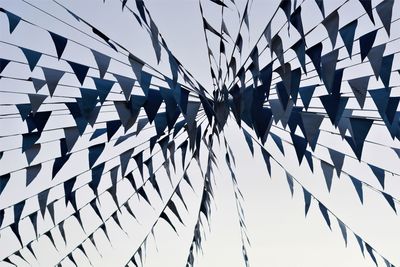 Bunting from below