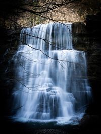 Scenic view of waterfall in forest