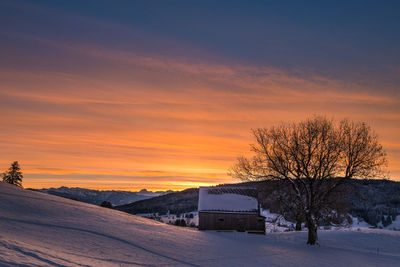 Scenic view of snow covered field against sky during sunset