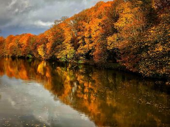 Reflection of trees on lake during autumn