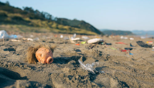 Close-up of crab on sand at beach against sky