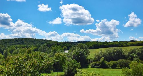 Trees on landscape against sky