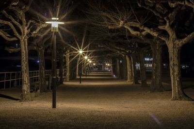 Empty road at night