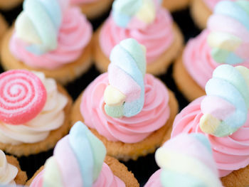 Close-up of multi colored candies